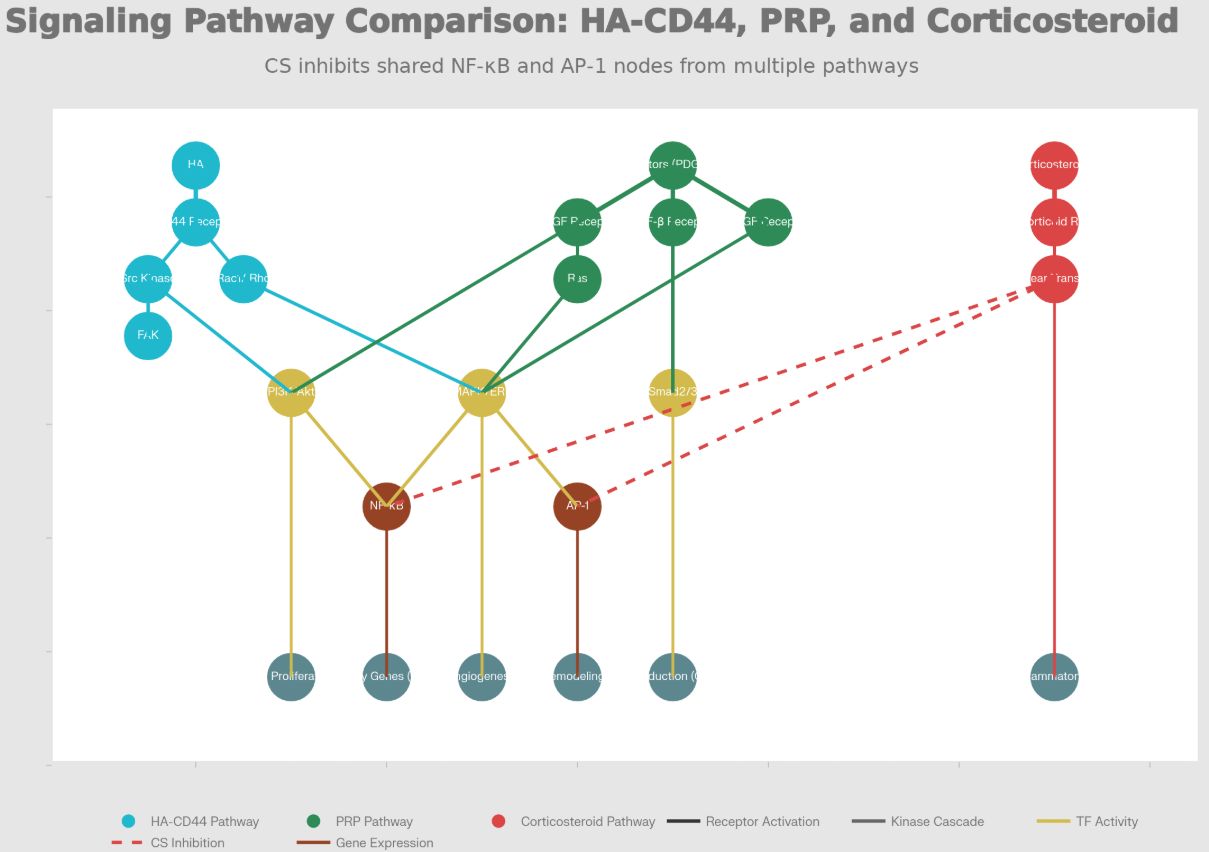 Signaling Pathway Comparison